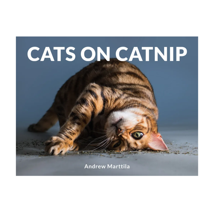Cats on Catnip - Madison's Niche