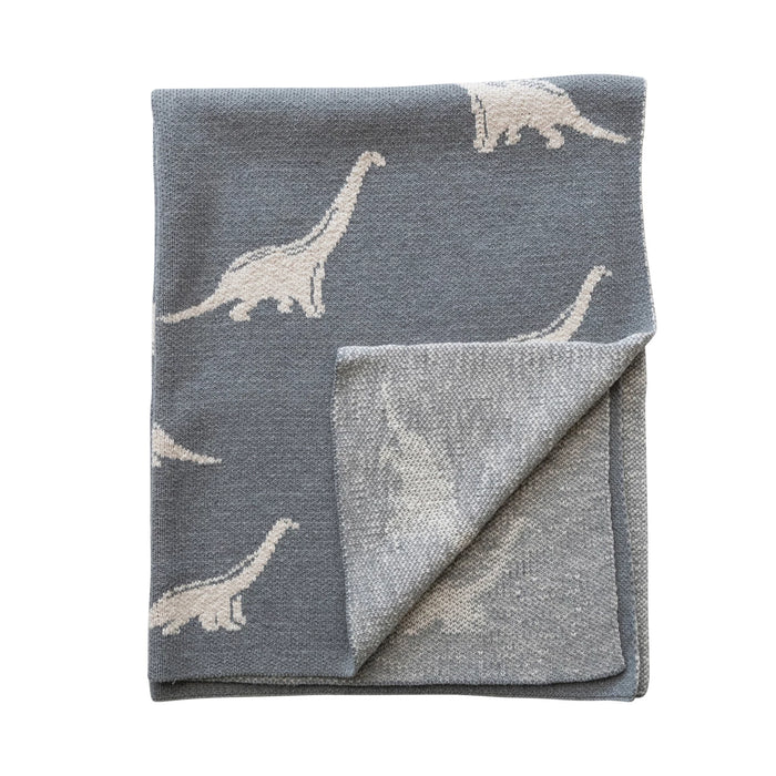 Dinosaurs Baby Blanket - Madison's Niche