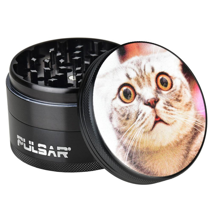 Stoned Cat
