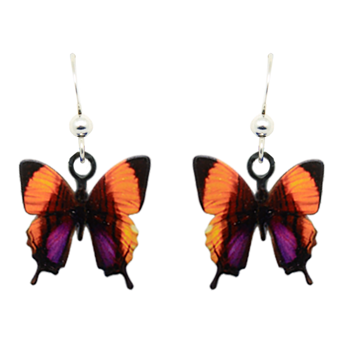 Purple Stained Swallowtail