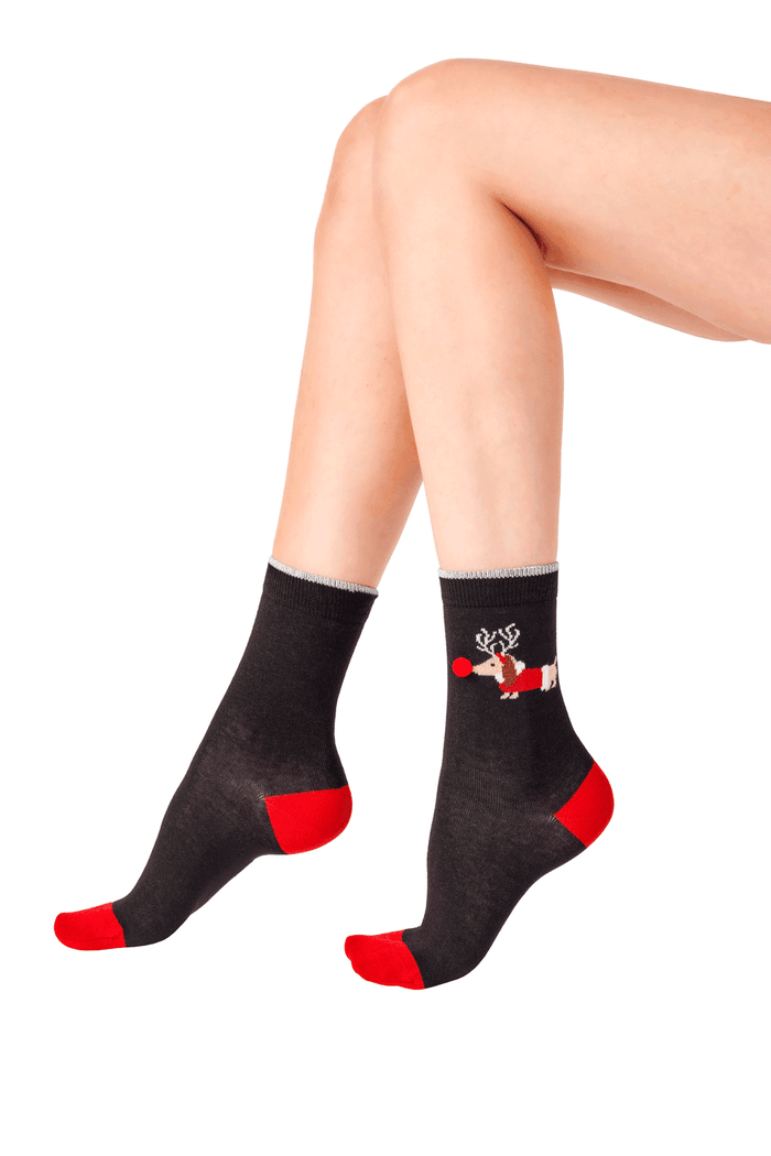 Black socks with sausage dog worn by a person on a white background