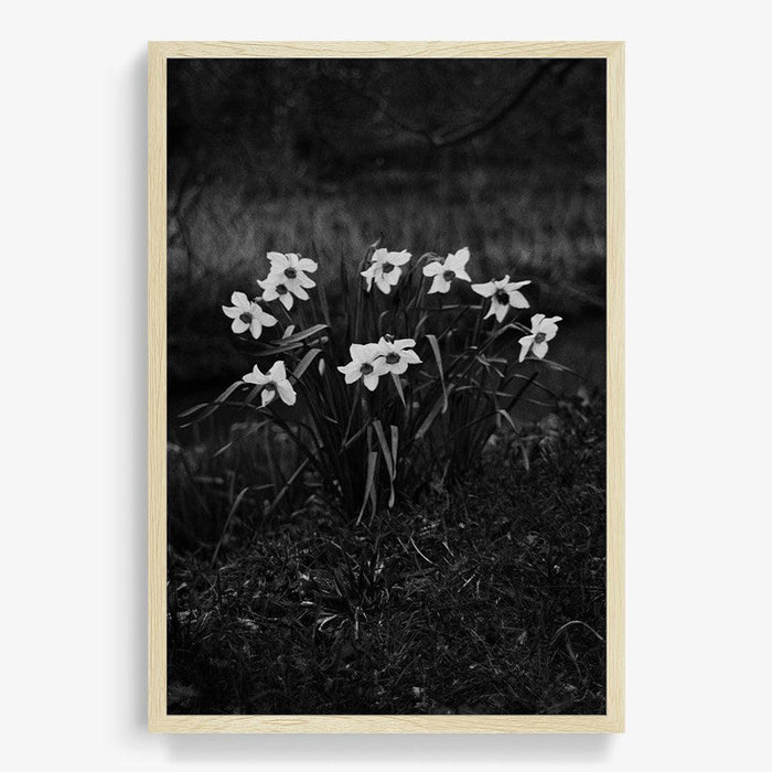 24 x 16 inches | Edition of 10 / Natural / Full Bleed