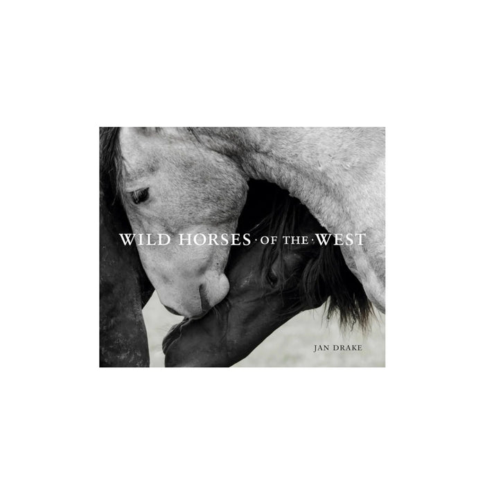 Wild Horses of The West - Madison's Niche