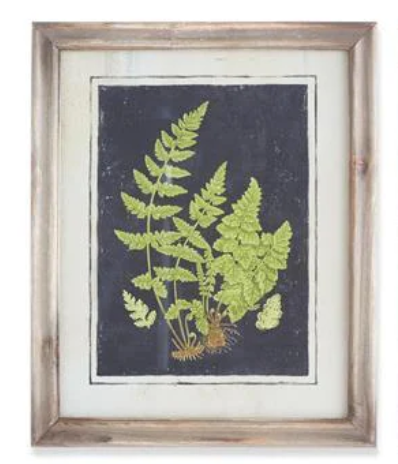 17" Framed Fern Print - Madison's Niche