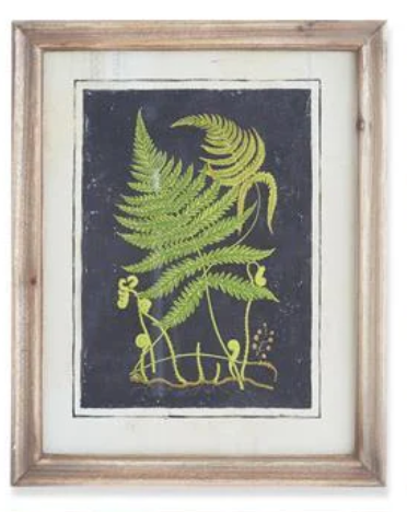 17" Framed Fern Print - Madison's Niche