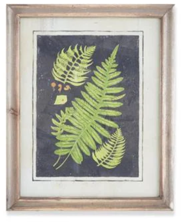 17" Framed Fern Print - Madison's Niche