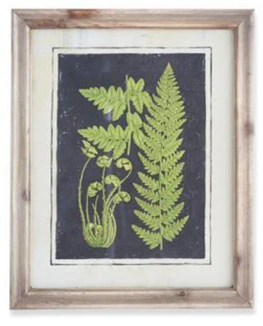 17" Framed Fern Print - Madison's Niche