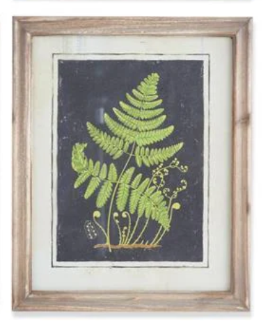 17" Framed Fern Print - Madison's Niche
