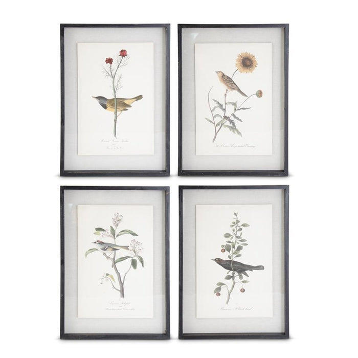22" Framed Bird Print - Madison's Niche
