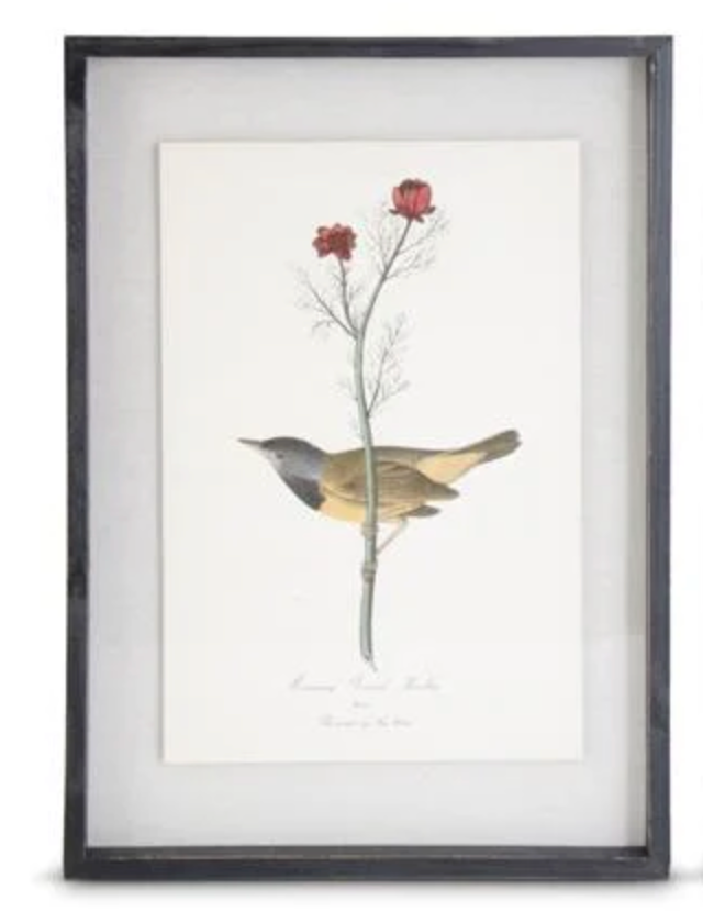 22" Framed Bird Print - Madison's Niche