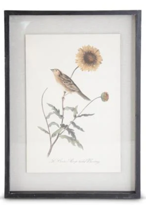 22" Framed Bird Print - Madison's Niche