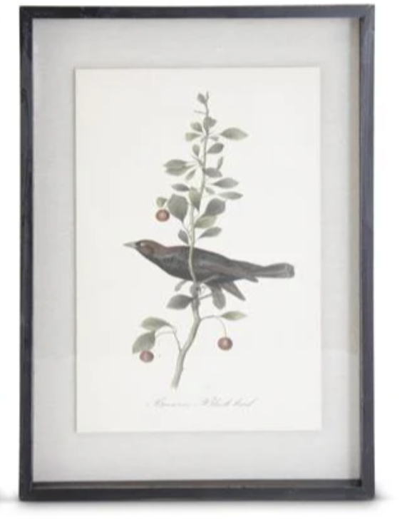 22" Framed Bird Print - Madison's Niche