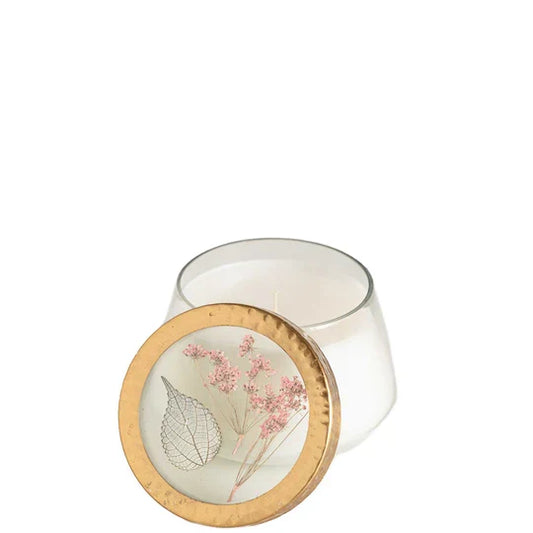 Apricot Rose Glass Candle - Madison's Niche