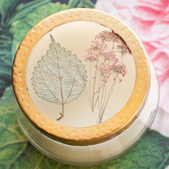 Apricot Rose Glass Candle - Madison's Niche