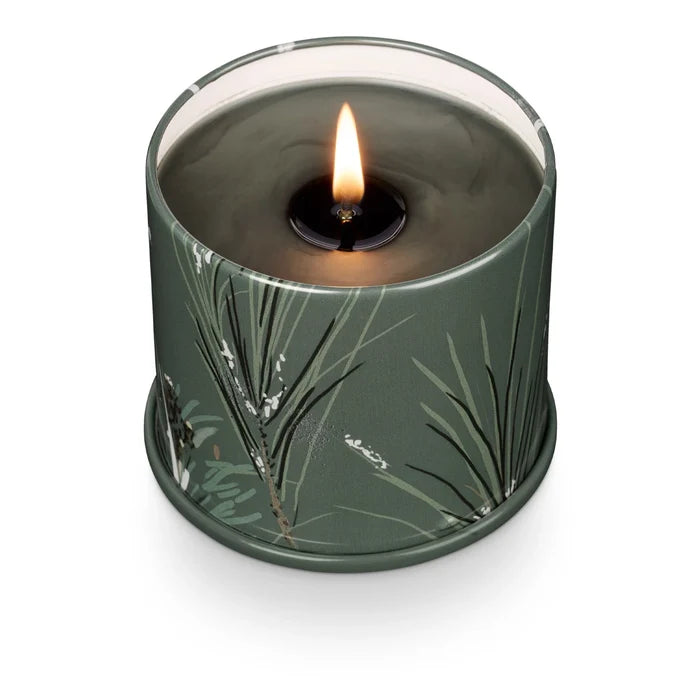 Balsam & Cedar Vanity Tin Candle - Madison's Niche