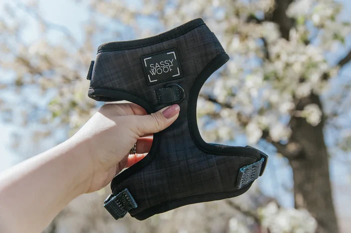 Black Adjustable Harness - Madison's Niche