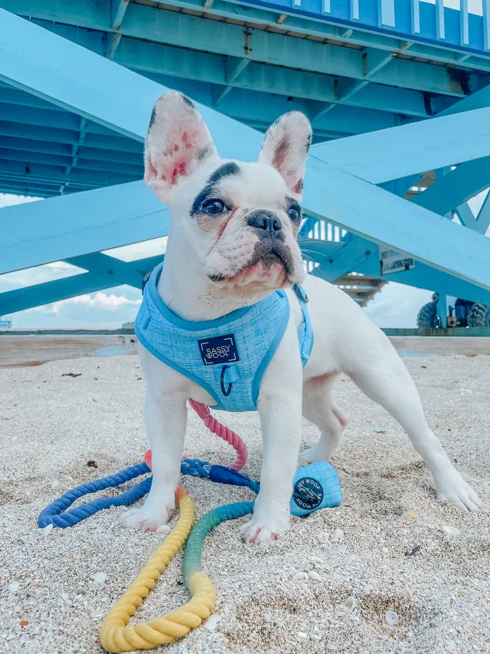 Blue Adjustable Harness - Madison's Niche