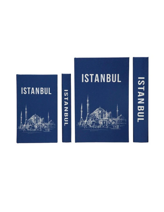 Book Box - Istanbul - Madison's Niche