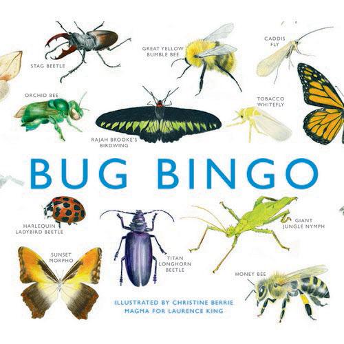 Bug Bingo