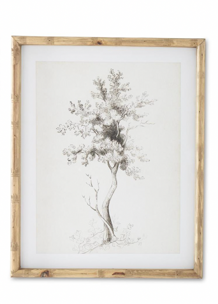 Charcoal Sketched Tree Art - Madison's Niche