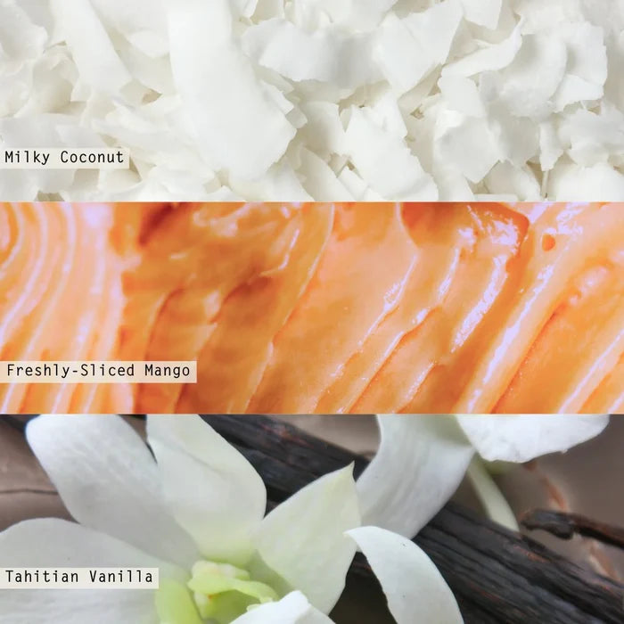 Coconut Milk Mango Diffuser - Madison's Niche