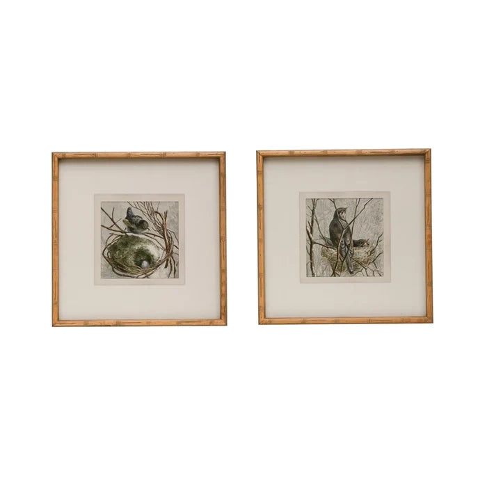 Framed Bird Print - Madison's Niche