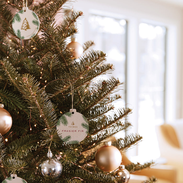 Frasier Fir Sachet - Madison's Niche