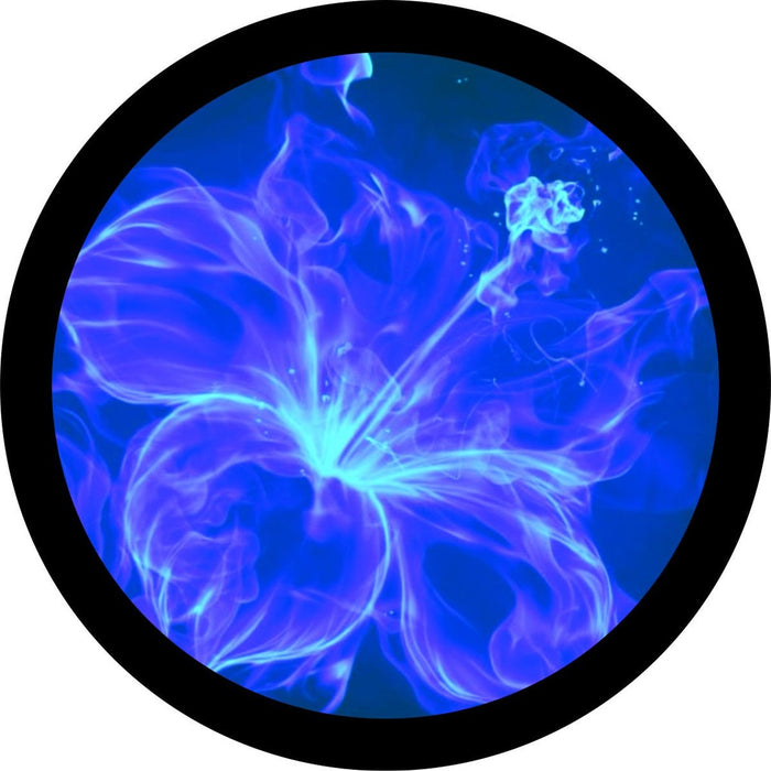 Hibiscus Fire Flower