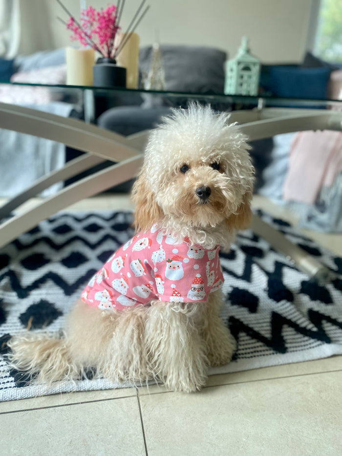 Santa Paws Dog t-shirt / Pyjamas