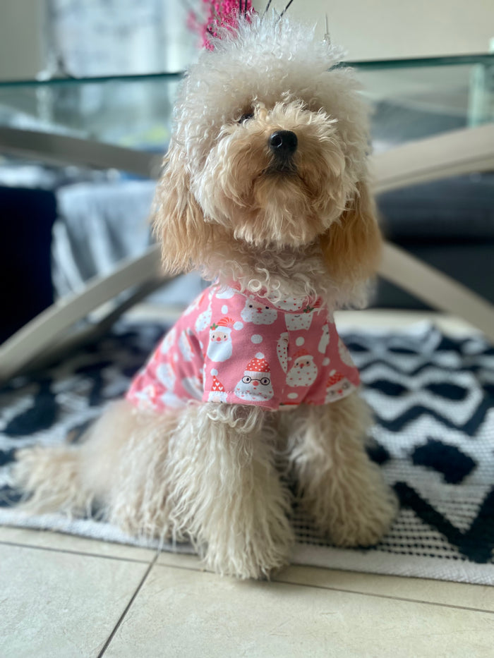 Santa Paws Dog t-shirt / Pyjamas