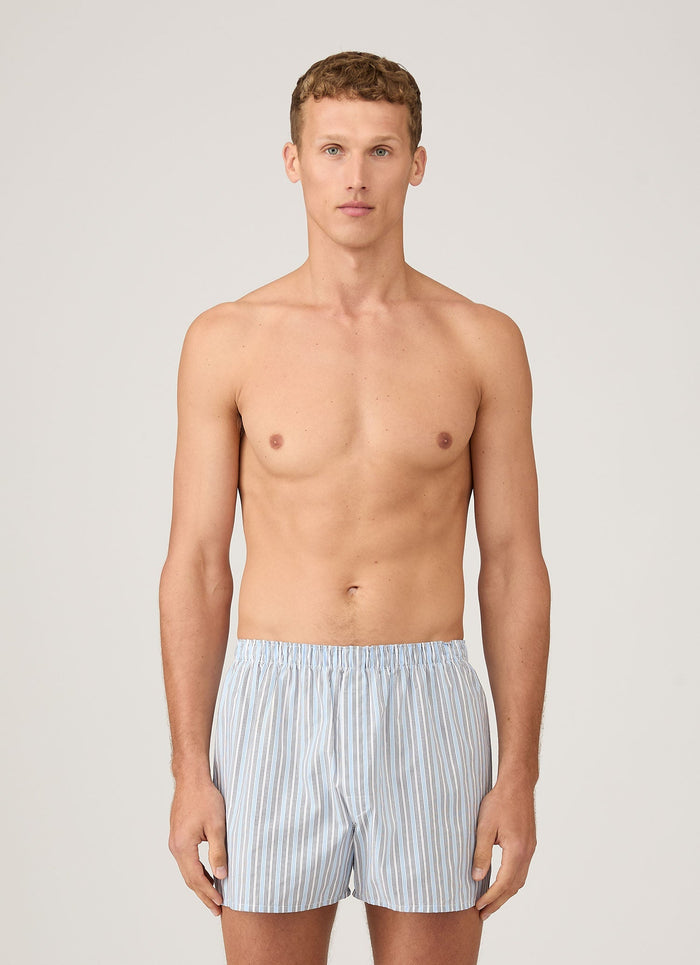 Men's Classic Boxer Short in Blue Stripe