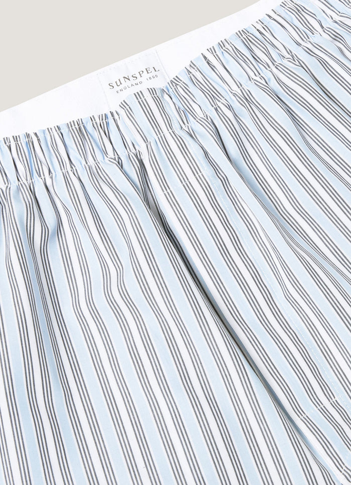 Men's Classic Boxer Short in Blue Stripe