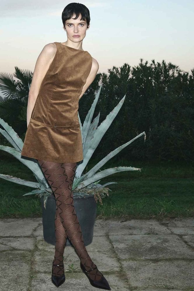 Monsoon Brown Tights By Trasparenze