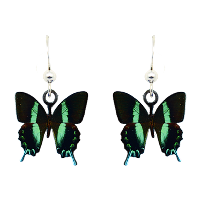 Peacock Swallowtail