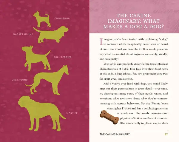 People Who Love Dogs - Madison's Niche
