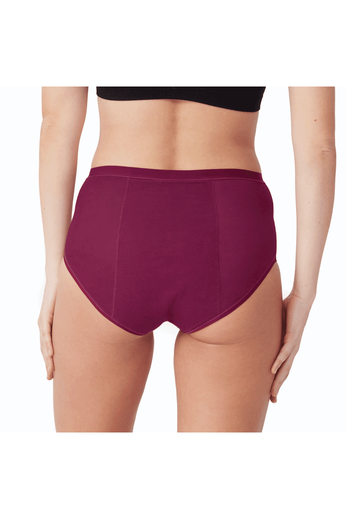 Love Luna period full brief in plum  worn by a person on a white background