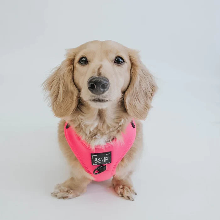 Pink Adjustable Harness - Madison's Niche