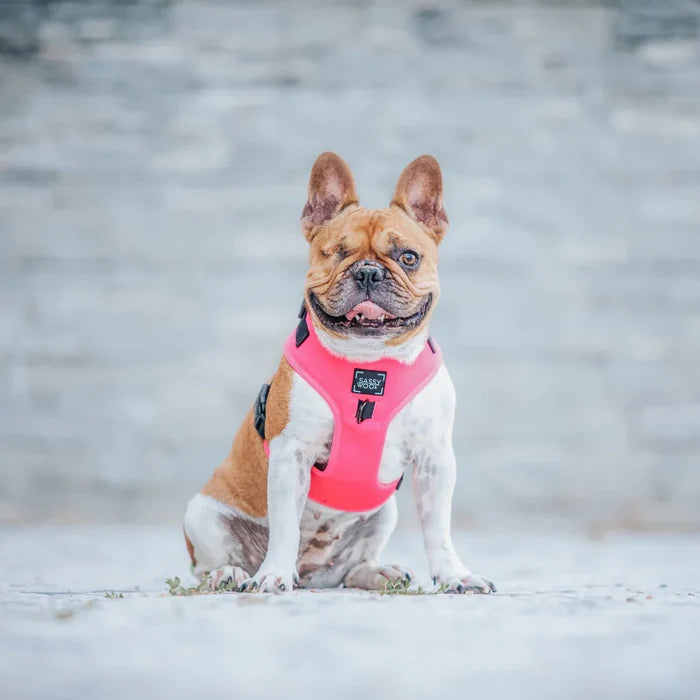Pink Adjustable Harness - Madison's Niche