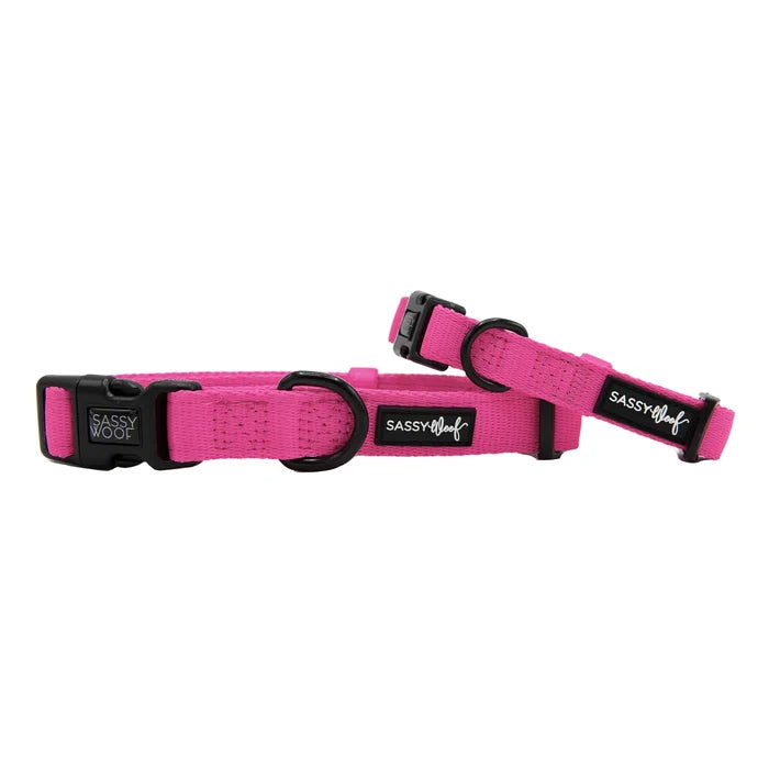 Pink Dog Collar - Madison's Niche