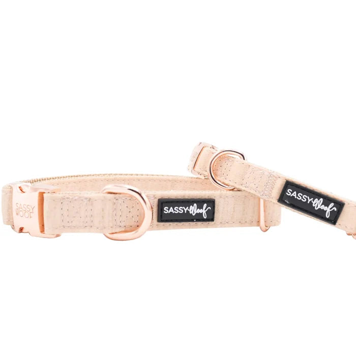 Pinot Dog Collar - Madison's Niche