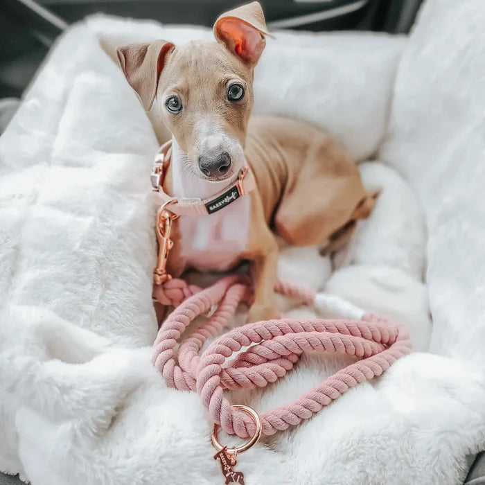 Pinot Dog Collar - Madison's Niche