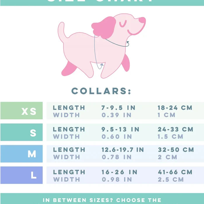 Pinot Dog Collar - Madison's Niche