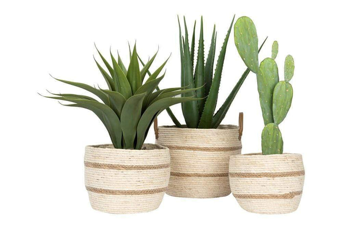 Round Maize Basket - Madison's Niche