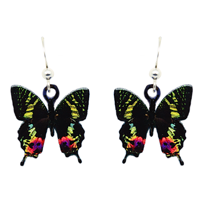 Sunset Moth