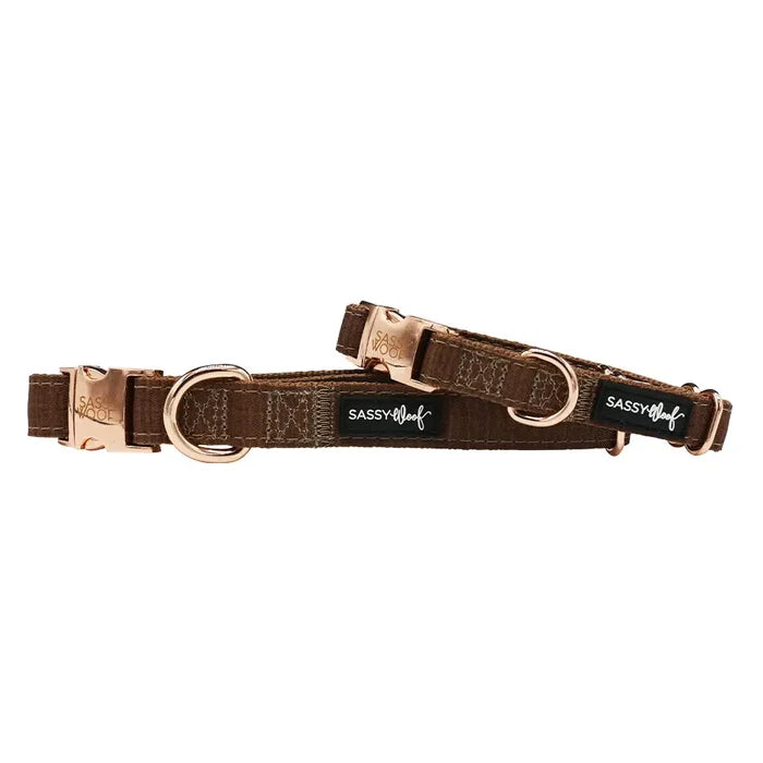 Teddy Dog Collar - Madison's Niche