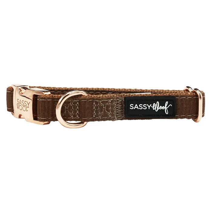 Teddy Dog Collar - Madison's Niche