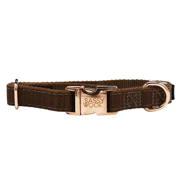 Teddy Dog Collar - Madison's Niche