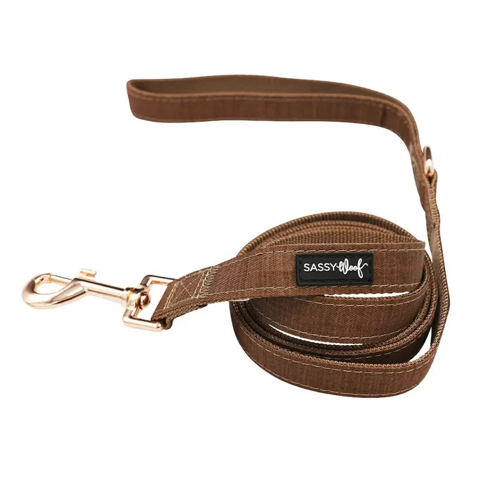 Teddy Fabric Leash - Madison's Niche