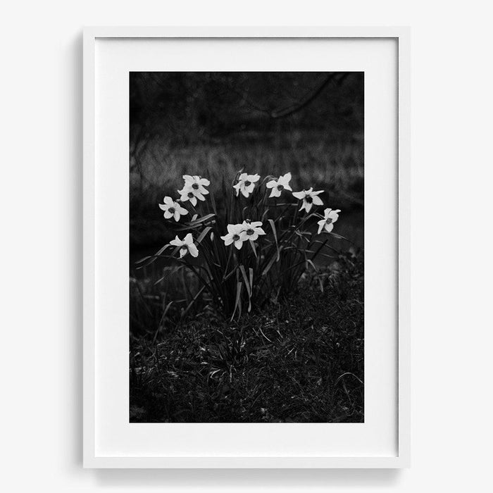 The First Spring , Photograph by The First Spring Tappan