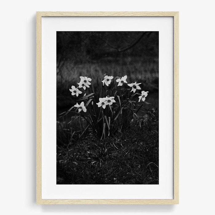 24 x 16 inches | Edition of 10 / Natural / Matted